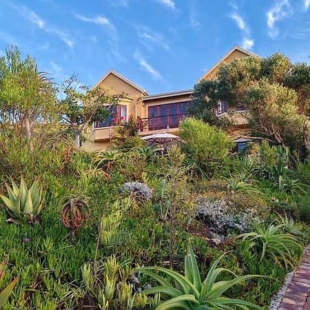 Villa Tartaruga Sedgefield Dış mekan fotoğraf