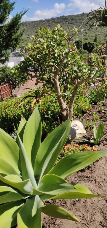 Villa Tartaruga Sedgefield Dış mekan fotoğraf
