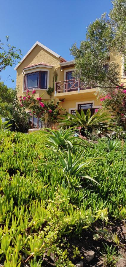 Villa Tartaruga Sedgefield Dış mekan fotoğraf