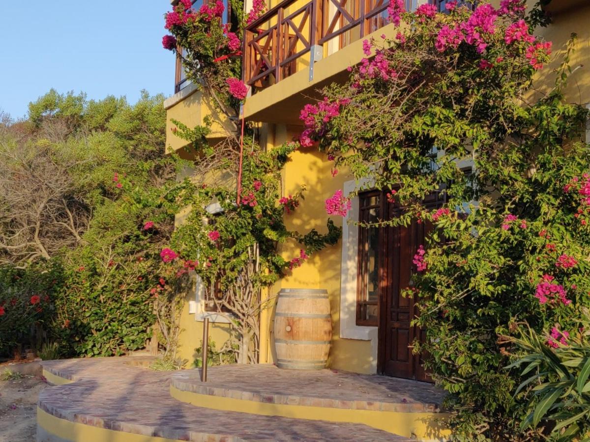 Villa Tartaruga Sedgefield Dış mekan fotoğraf