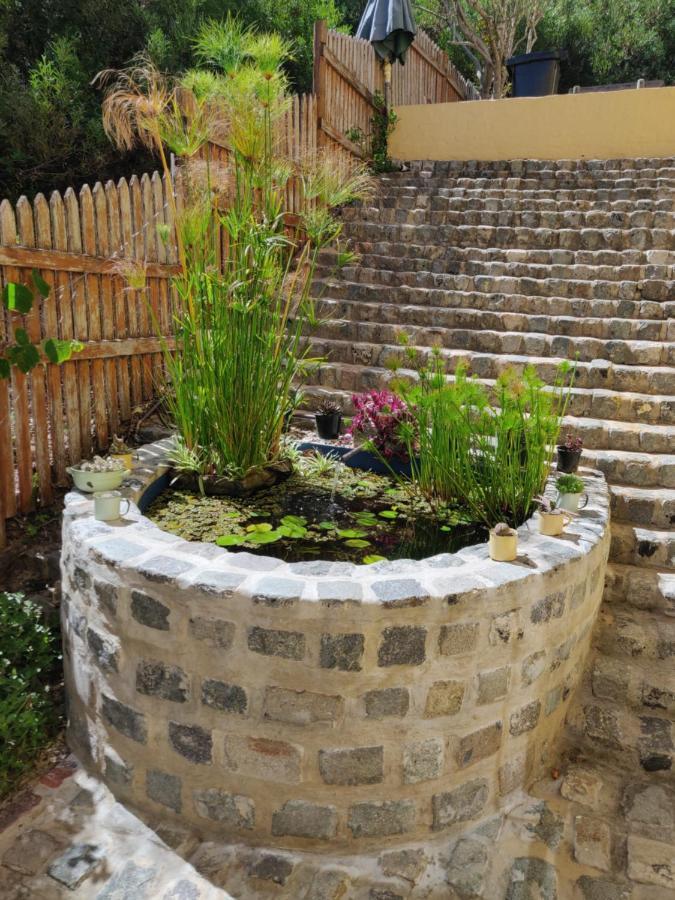 Villa Tartaruga Sedgefield Dış mekan fotoğraf