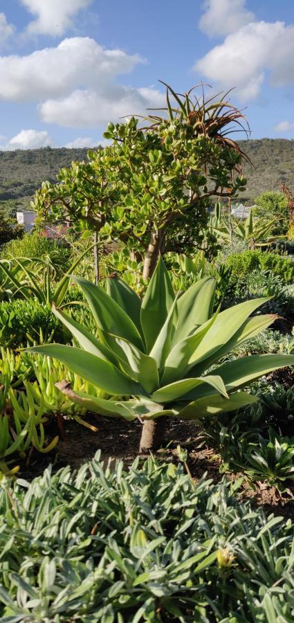 Villa Tartaruga Sedgefield Dış mekan fotoğraf