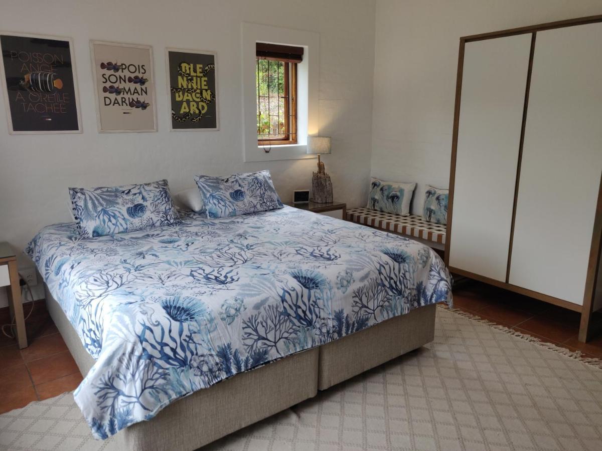 Villa Tartaruga Sedgefield Dış mekan fotoğraf